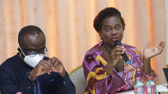 Nana Ama Oppong-Duah (right), Policy Advisor, JAK Foundation, addressing participants in the event. With her is Nana Adjei Ayeh II, President, Ghana Rice Inter-professional Body.  Picture: EDNA SALVO-KOTEY