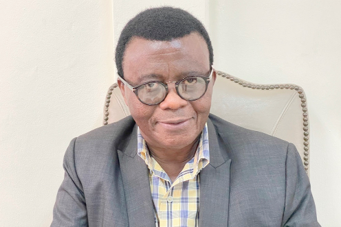 Prof. Baffour Agyemang-Duah  — Governance Expert.