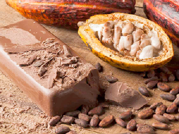 US$910m cocoa  loan expected in October - Major boost for cedi 