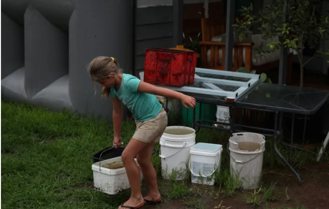 Rainwater is no longer safe to drink anywhere on Earth, due to 'forever chemicals' linked to cancer, study suggests