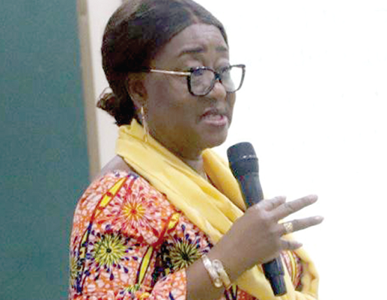 Shiela Minka-Premo, Convener, Affirmative Action Bill, speaking at a stakeholders meeting. Pictures: EMMANUEL BAAH