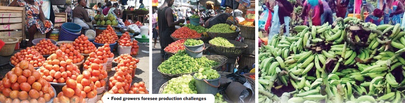 Increase investment in domestic production - To avert imminent food crisis - Agric bodies