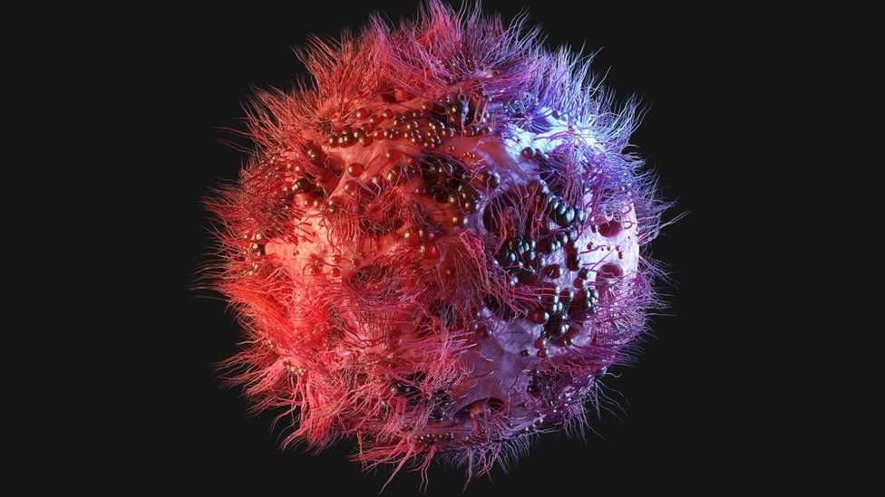 Fourth patient seemingly cured of HIV