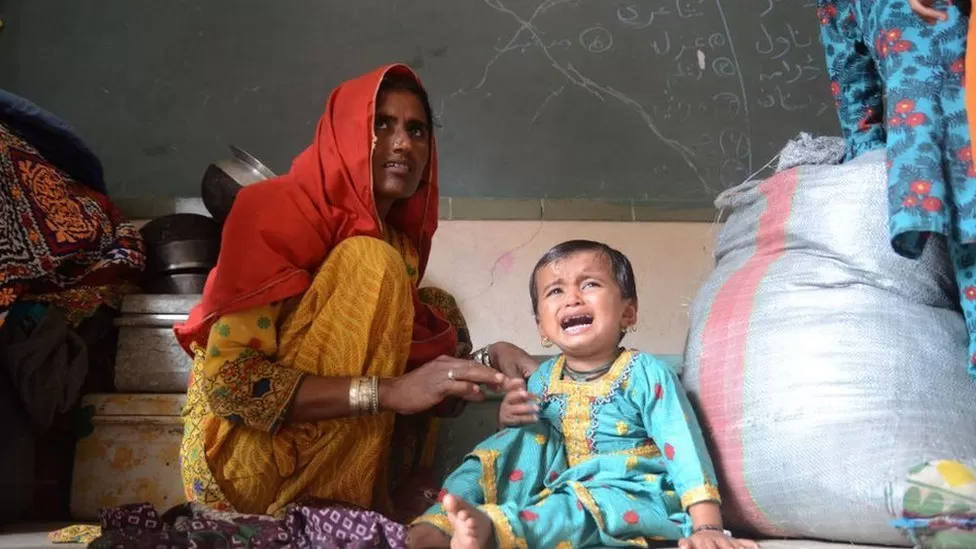 Pakistan floods: Appeals for aid as 119 more die in a day