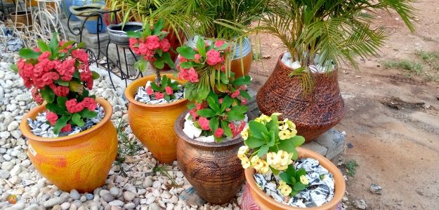 Stratcomm Africa celebrates 10th anniversary of its 'Ghana Garden and Flower Show'