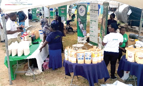 Some food products being displayed at the Koforidua Jubilee Park to mark the beginning of activities to celebrate Farmers Day 