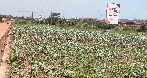 One of the farms being used to prevent encroachment of the motorway extension land One of the farms being used to prevent encroachment of the motorway extension land