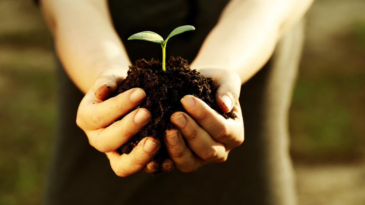 Exploring the possibilities of improved soil health and management in Ghana