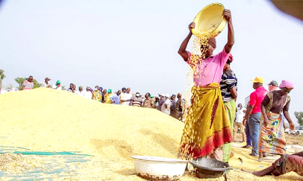 A grain development authority is needed in the country to guarantee grain prices 