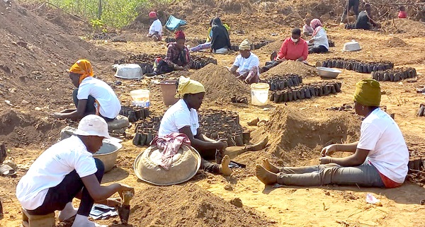 Some of the women filling the bags for the seedlings