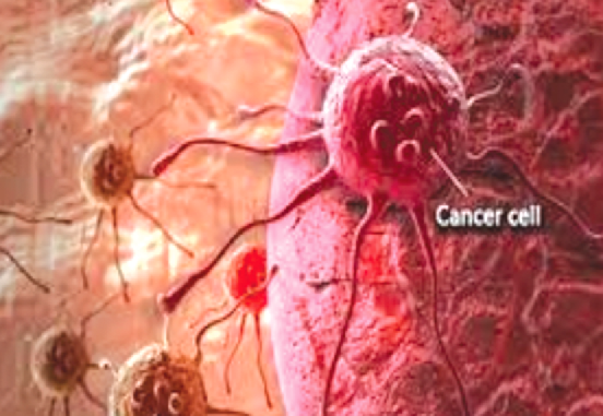 A cancerous cell