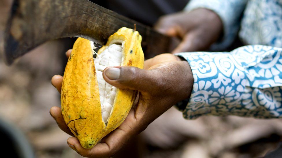 How science is making chocolate taste even better