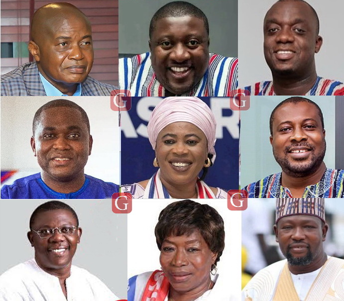 NPP National Executive Elections: See full results