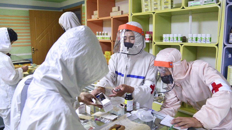 North Korea: Fighting Covid with traditional medicine