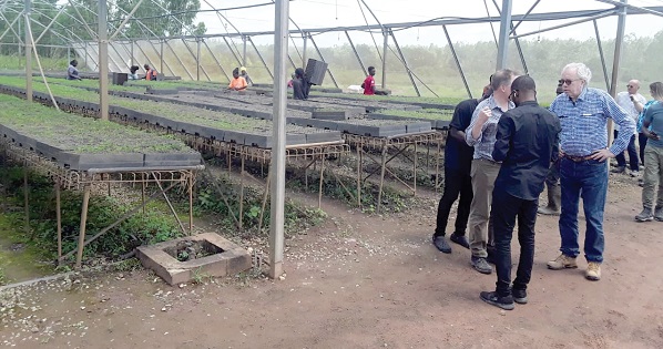 Officials of AstraZeneca and NGPTA touring one of the seed gardens that have been developed to provide seedlings for the project
