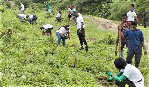 Some members of Green Diversity Foundation planting trees at the Shikabu Lake to celebrate World Environment Day. Picture: ERNEST KODZI