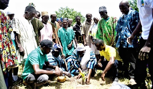 Jarigbandaana Abdulai Sulemana (arrowed), Chief of Saadaafong, planting a seedling. Looking on are Shea cooperative members and Upfield officials