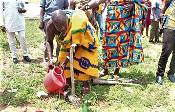Nana Kwaku Amankwa II, the Chief of Bonsuahene, watering a seedling  he planted during the launch of the five-year project at Akomadan