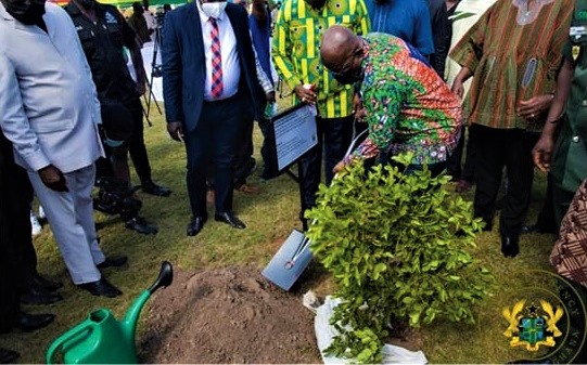 Green Ghana Day launch with the President in dua koro gye mframa ebu, a local fabric