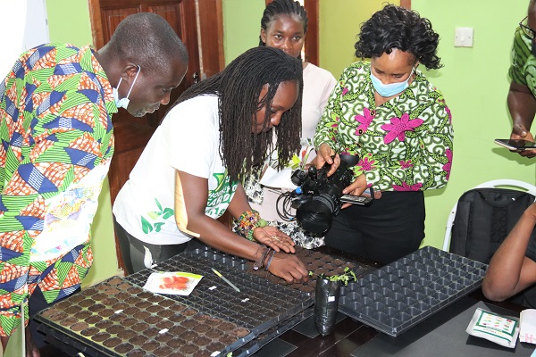 Alberta Nana Akyaa Akosa, Executive Director, Agrihouse Foundation demonstrating the seed planting process to press. Picture: ELVIS NII NOI DOWUONA Alberta Nana Akyaa Akosa, Executive Director, Agrihouse Foundation demonstrating the seed planting process to press. Picture: ELVIS NII NOI DOWUONA