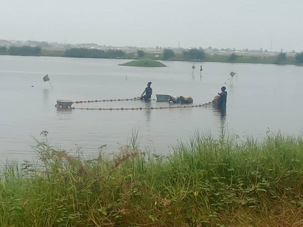Some fishers fishing in the Densu Delta Ramsar Site