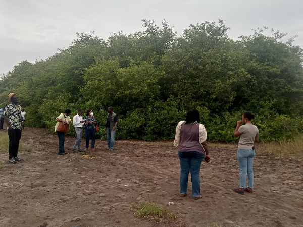 Some of the journalists on the media tour observing some replanted mangroves in the Ada area