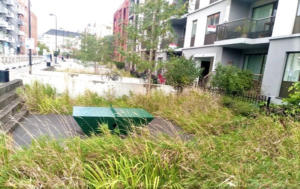 Behind every building in flood-prone areas of Copenhagen, are low-lying green areas to hold rainwater