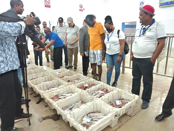 Some of the journalists inspecting the packaged fishes in their boxes