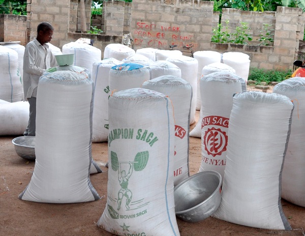  Some bags of gari being prepared for the market