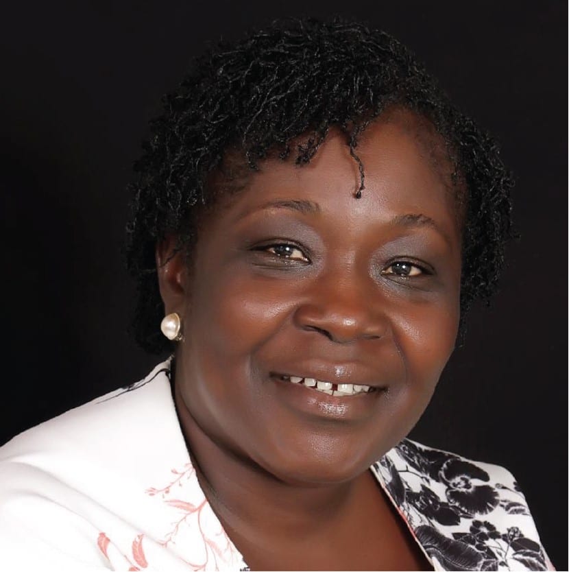 NMC appoints new boards for state-owned media – Prof Olivia Frimpong Kwapong chairs Graphic