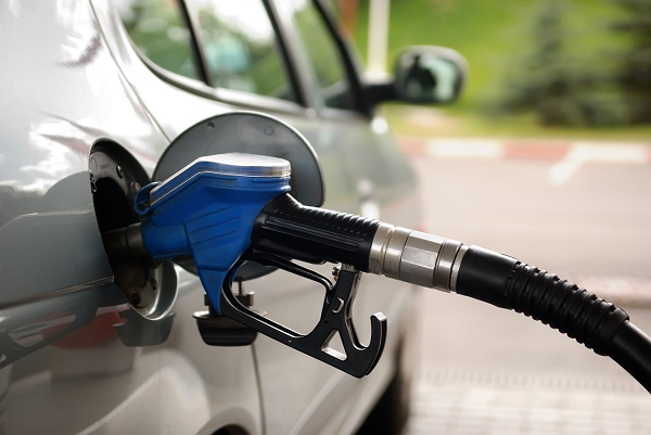 Govt cuts fuel allocations for appointees by 50%