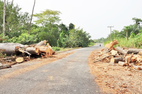 The cleared road