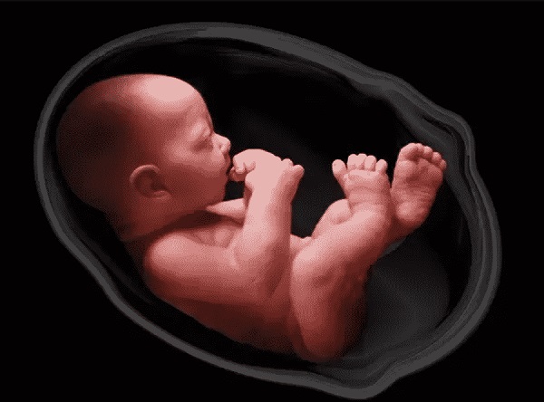  The developing baby (fetus) is exposed to all these hormones and actually thrives in an environment very rich with different hormones