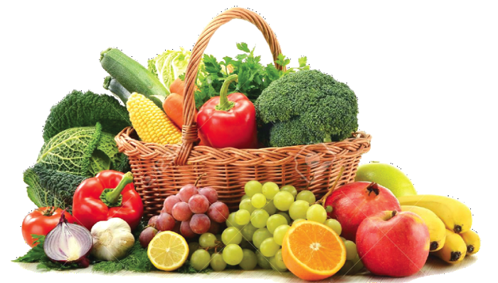 We are what we eat