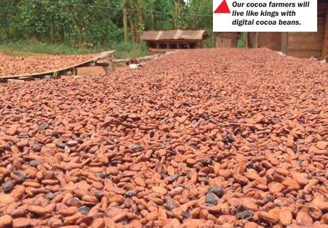 Our cocoa farmers will live like kings with digital cocoa beans