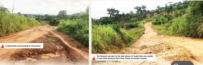 We need good roads to continue farming - Asonkwaa yam farms plead with govt