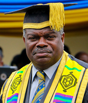 Ernest Aryeetey, Former Vice Chancellor, University of Ghana (2010-2016)
