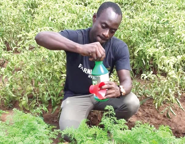 Study discovers organic fertiliser for high yields