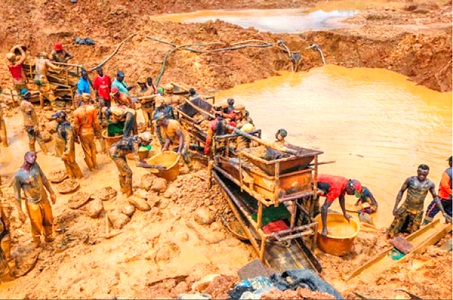 Illegal miners engaged in the illegal exploitation for gold