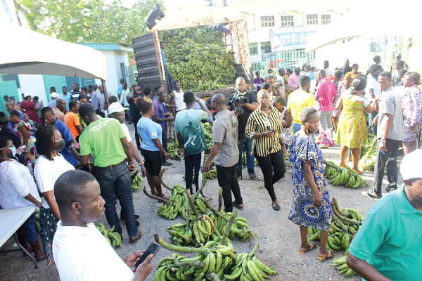 Some civil servants and members of the public buying plantain at the MoFA market.  Picture: ERNEST KODZI