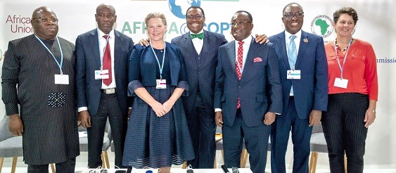 Dr Akinwunmi A. Adesina (middle), President of the African Development Bank; Dr Owusu Afriyie Akoto (3rd from right), Minister of Food and Agriculture, with other participants
