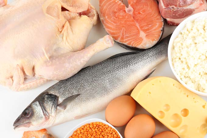 Reduce meat, fish to save money — Vegetarian Association President