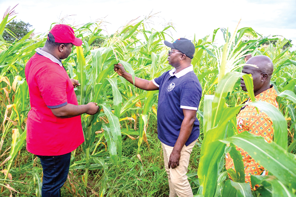  Osei Assibey Antwi (middle), Executive Director of the National Service Scheme, being briefed by  Kwaku Boansi Kwarteng (left) of the NSS at Branam Farms