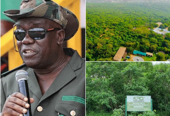 No one will inherit Sir John's alleged Achimota Forest, Sakumono Ramsar Site lands - Ministry assures