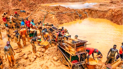 Illegal miners engaged in the illegal exploitation of gold