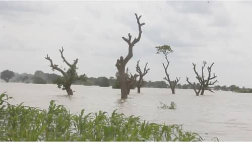 Bagre Dam spillage: Floods cut off Wapule from Yendi - Vimarsana News