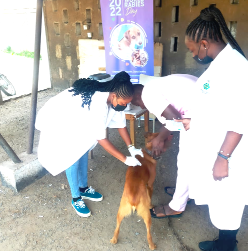 Some veterinary officers vaccinating a dog at their headoffice in Accra