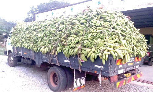 A truck load of plantain arriving at one of the markets in Kumasi