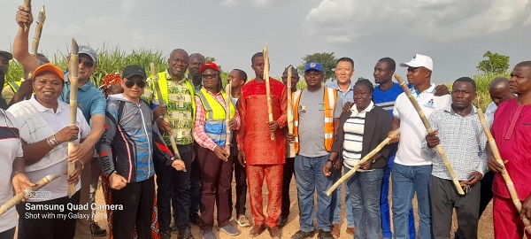 The Bono Regional Minister,  Ms Justina Owusu-Banahene (4th left), the CEO of BPA, Mr Samuel Kofi Dzamesi (3rd left) and District and Municipal Chief Executives of the Bono Region holding pieces of sugarcane when they inspected the plantation