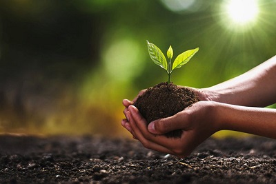 Asase Gyefo Organic fertiliser: A new hope to farmers? 